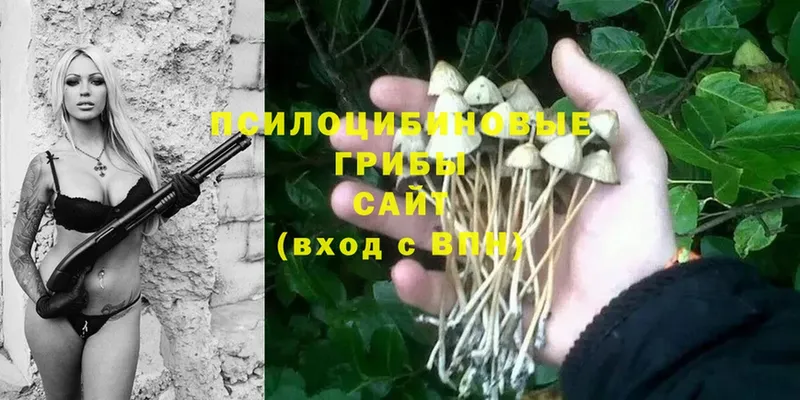 Псилоцибиновые грибы MAGIC MUSHROOMS  Алексеевка 